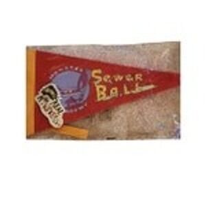 Aaahh Real Monsters Academy Sewer Ball Pennant Flag Nick Box CultureFly NWT